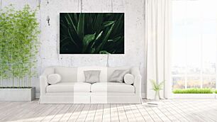 Πίνακας, μια ασπρόμαυρη φωτογραφία ενός πράσινου φυτού