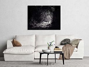 Πίνακας, μια ασπρόμαυρη φωτογραφία ενός μονοπατιού στο δάσος