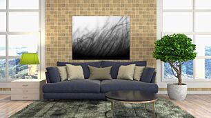 Πίνακας, μια ασπρόμαυρη φωτογραφία με γρασίδι που φυσάει στον άνεμο