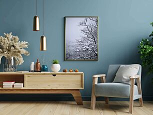 Πίνακας, μια ασπρόμαυρη φωτογραφία από χιονισμένα δέντρα