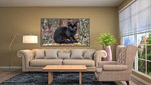 Πίνακας, μια μαύρη γάτα που κάθεται πάνω από ένα κούτσουρο δέντρου