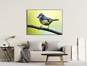 Πίνακας, ένα μπλε και κίτρινο πουλί κάθεται σε ένα κλαδί
