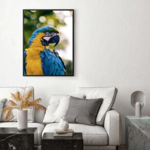 Πίνακας, ένας μπλε και κίτρινος παπαγάλος που κάθεται πάνω από ένα κλαδί δέντρου