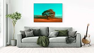 Πίνακας, μια θολή φωτογραφία ενός δέντρου σε ένα χωράφι
