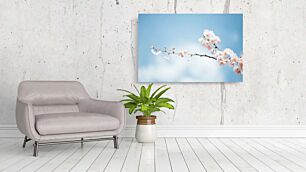 Πίνακας, ένα κλαδί με λευκά λουλούδια σε έναν γαλάζιο ουρανό