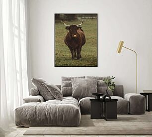 Πίνακας, μια καφετιά αγελάδα που στέκεται πάνω από ένα καταπράσινο χωράφι