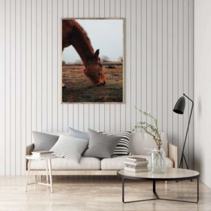 Πίνακας, ένα καφέ άλογο που τρώει γρασίδι σε ένα χωράφι