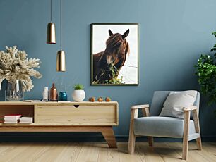 Πίνακας, ένα καφέ άλογο που στέκεται δίπλα σε ένα συρματόπλεγμα