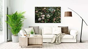 Πίνακας, ένα μάτσο ροζ και λευκά λουλούδια σε ένα δέντρο