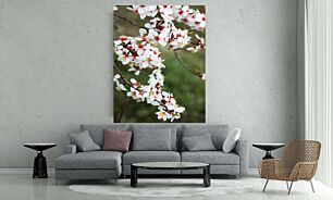Πίνακας, ένα μάτσο λευκά και κόκκινα λουλούδια σε ένα δέντρο