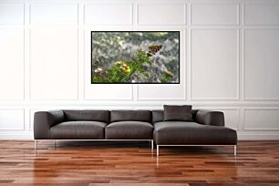 Πίνακας, μια πεταλούδα κάθεται πάνω από ένα πράσινο φυτό