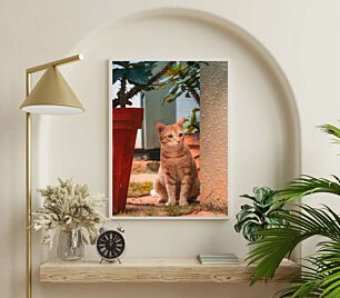 Πίνακας, μια γάτα κάθεται δίπλα σε ένα φυτό σε γλάστρα