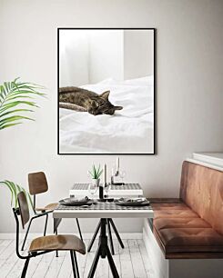 Πίνακας, μια γάτα που είναι ξαπλωμένη σε ένα κρεβάτι