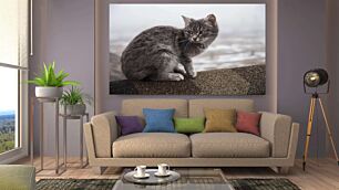 Πίνακας, μια γάτα που κάθεται σε μια προεξοχή