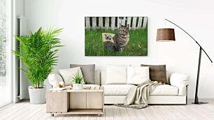 Πίνακας, μια γάτα που στέκεται στο γρασίδι
