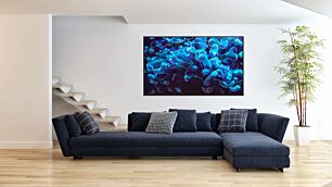 Πίνακας, κοντινό πλάνο μιας μπλε θαλάσσιας ανεμώνης