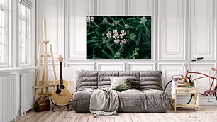 Πίνακας, κοντινό πλάνο ενός τσαμπιού λουλουδιών σε ένα φυτό