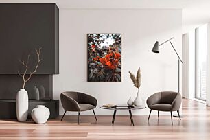 Πίνακας, κοντινό πλάνο από ένα μάτσο πορτοκαλί λουλούδια
