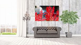 Πίνακας, από κοντά ένα μάτσο κόκκινα λουλούδια