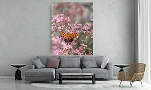 Πίνακας, κοντινό πλάνο μιας πεταλούδας σε ένα λουλούδι