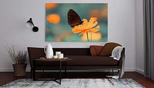 Πίνακας, κοντινό πλάνο μιας πεταλούδας σε ένα λουλούδι