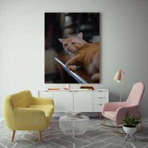 Πίνακας, κοντινό πλάνο μιας γάτας ξαπλωμένη σε ένα τραπέζι