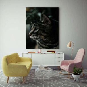 Πίνακας, κοντινό πλάνο μιας γάτας με θολό φόντο