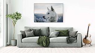 Πίνακας, ένα κοντινό πλάνο ενός σκύλου με ένα βουνό στο βάθος