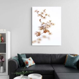 Πίνακας, κοντινό πλάνο ενός λουλουδιού σε λευκό φόντο