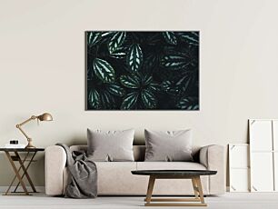 Πίνακας, κοντινό πλάνο ενός πράσινου και λευκού φυτού