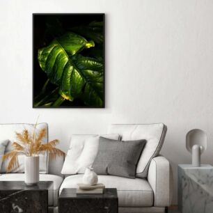 Πίνακας, κοντινό πλάνο ενός πράσινου φύλλου σε ένα φυτό