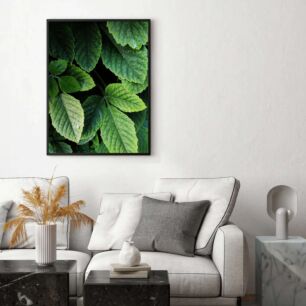 Πίνακας, κοντινό πλάνο ενός πράσινου φύλλου με σταγόνες νερού πάνω του