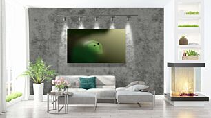 Πίνακας, κοντινό πλάνο ενός πράσινου αντικειμένου με θολό φόντο