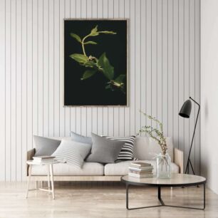 Πίνακας, κοντινό πλάνο ενός πράσινου φυτού με φύλλα