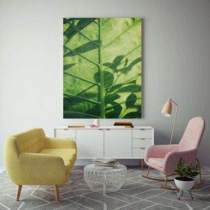 Πίνακας, κοντινό πλάνο ενός φύλλου φυτού