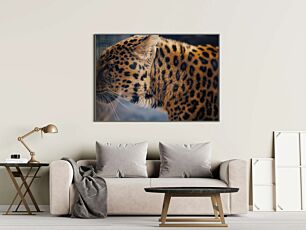 Πίνακας, κοντινό πλάνο μιας λεοπάρδαλης σε ένα κλουβί