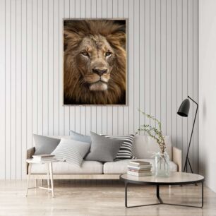 Πίνακας, ένα κοντινό πρόσωπο ενός λιονταριού με μαύρο φόντο