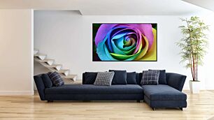 Πίνακας, κοντινό πλάνο ενός πολύχρωμου τριαντάφυλλου