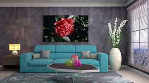Πίνακας, κοντινό πλάνο ενός ροζ λουλουδιού με πράσινα φύλλα