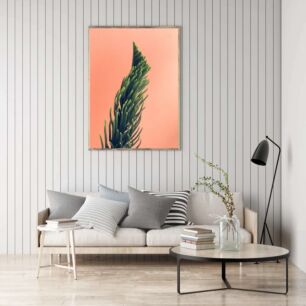 Πίνακας, κοντινό πλάνο ενός φυτού σε έναν ροζ τοίχο