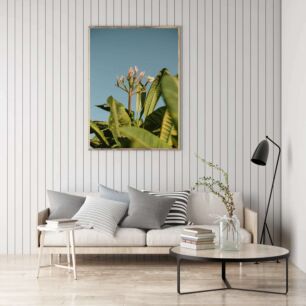 Πίνακας, κοντινό πλάνο ενός φυτού με γαλάζιο ουρανό στο φόντο