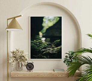 Πίνακας, κοντινό πλάνο ενός φυτού με θολό φόντο