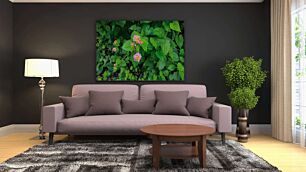 Πίνακας, κοντινό πλάνο ενός φυτού με ροζ και κίτρινα λουλούδια