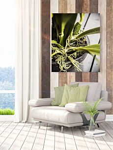 Πίνακας, κοντινό πλάνο ενός φυτού σε γλάστρα σε ένα τραπέζι