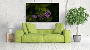 Πίνακας, κοντινό πλάνο ενός μωβ λουλουδιού με πράσινα φύλλα