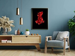 Πίνακας, κοντινό πλάνο ενός κόκκινου ψαριού σε μαύρο φόντο