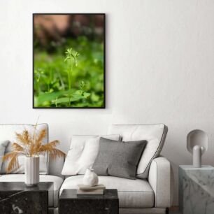 Πίνακας, κοντινό πλάνο ενός μικρού πράσινου φυτού