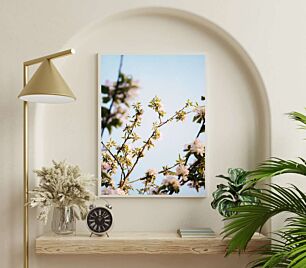 Πίνακας, κοντινό πλάνο ενός δέντρου με λευκά λουλούδια