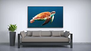 Πίνακας, κοντινό πλάνο μιας χελώνας που κολυμπά στο νερό
