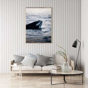Πίνακας, κοντινό πλάνο μιας φάλαινας στο νερό
